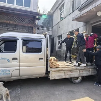 ما در حال حمل و نقل هستیم! اولین سفارش سال نو